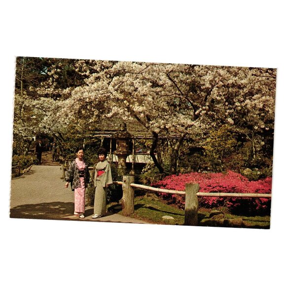 Vintage Postcard Japanese Tea Garden Golden Gate Park San Francisco Tourism Gift - Picture 1 of 2